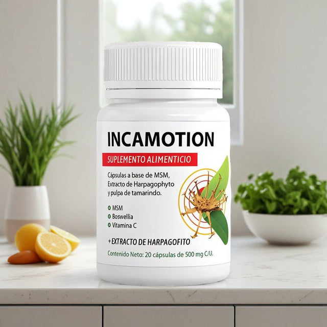 IncaMotion